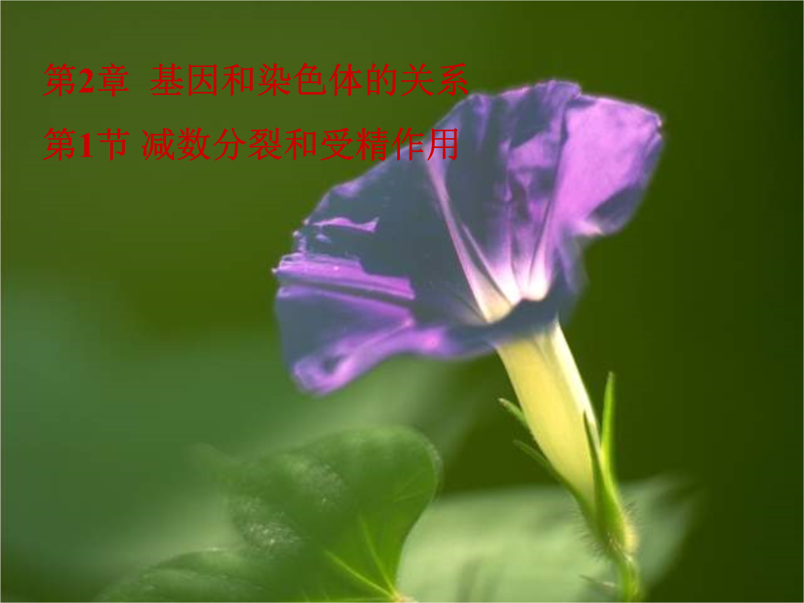 生男生女为什么会存在偏高情况？这是偶然的现象吗？