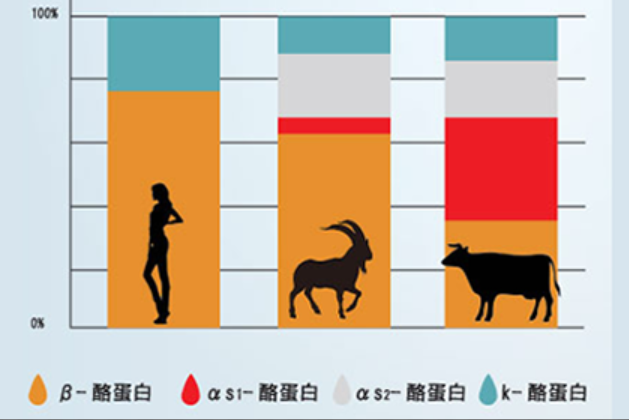 羊奶和牛奶的营养价值有何区别呢？喝羊奶不容易过敏
