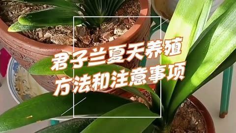 最佳受孕生男孩的时间点大揭秘